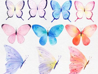 Watercolor butterfly. Set of 24 high-quality hand-painted cliparts.