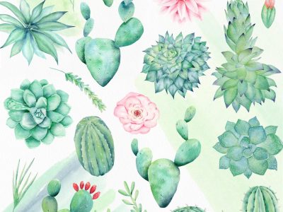 watercolor-cactus-clipart