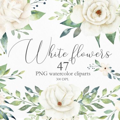 white-flower-clipart