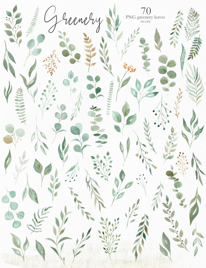 watercolor-greenery-leaf-clipart