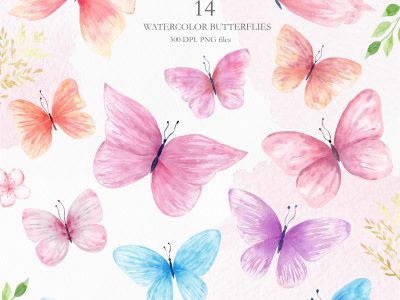 watercolor-flora-butterfly-clipart